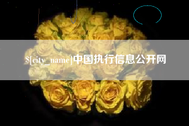 仁怀中国执行信息公开网