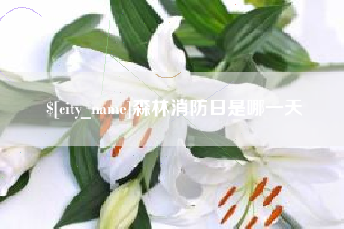 仁怀森林消防日是哪一天