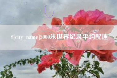 仁怀5000米世界纪录平均配速