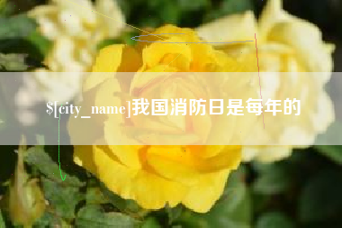 仁怀我国消防日是每年的