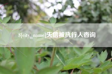 仁怀失信被执行人杳询