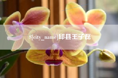 仁怀邱县王子磊
