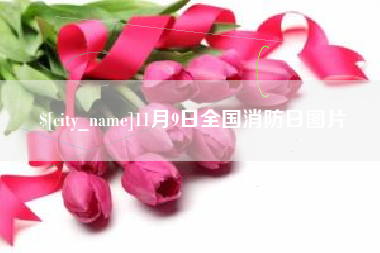 仁怀11月9日全国消防日图片