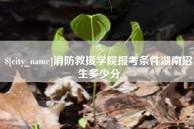 仁怀消防救援学院报考条件湖南招生多少分