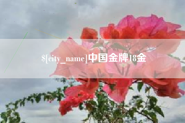 仁怀中国金牌18金