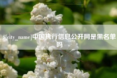 仁怀中国执行信息公开网是黑名单吗