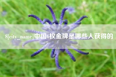 仁怀中国6枚金牌是哪些人获得的