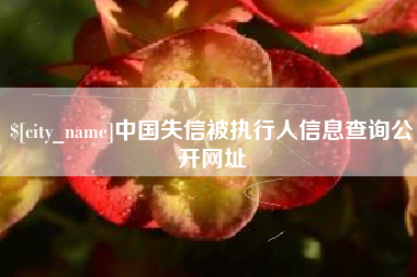 仁怀中国失信被执行人信息查询公开网址