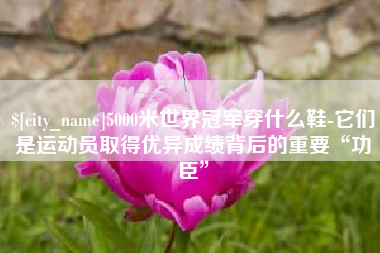 仁怀5000米世界冠军穿什么鞋-它们是运动员取得优异成绩背后的重要“功臣”