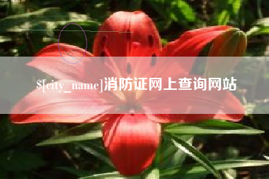 仁怀消防证网上查询网站