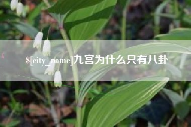 仁怀九宫为什么只有八卦