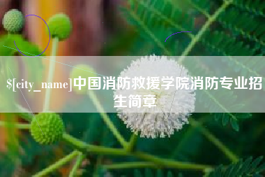 仁怀中国消防救援学院消防专业招生简章
