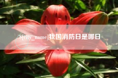 仁怀我国消防日是哪日