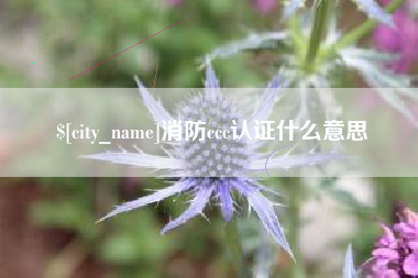 仁怀消防ccc认证什么意思