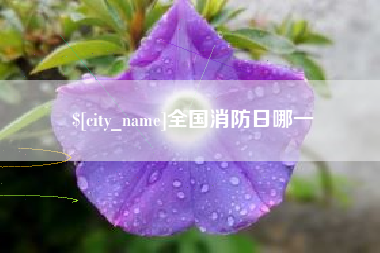 仁怀全国消防日哪一