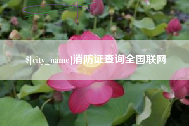 仁怀消防证查询全国联网