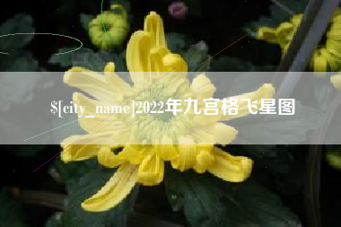 仁怀2022年九宫格飞星图