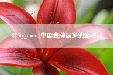 仁怀中国金牌最多的运动员