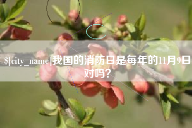 仁怀我国的消防日是每年的11月9日对吗？