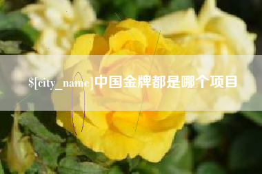 仁怀中国金牌都是哪个项目