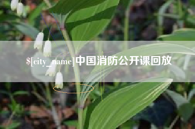 仁怀中国消防公开课回放