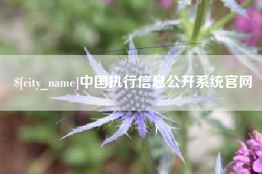 仁怀中国执行信息公开系统官网
