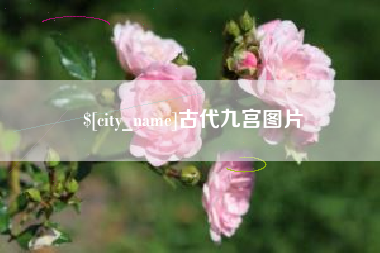 仁怀古代九宫图片