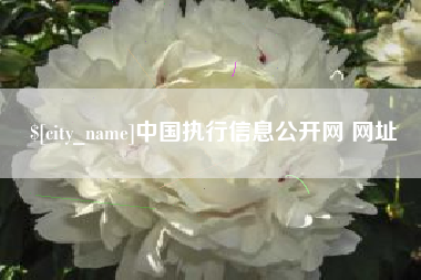 仁怀中国执行信息公开网 网址