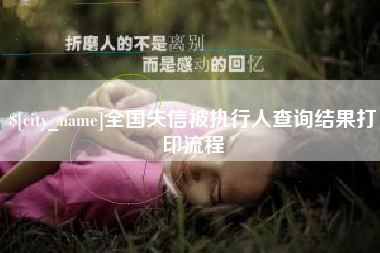 仁怀全国失信被执行人查询结果打印流程