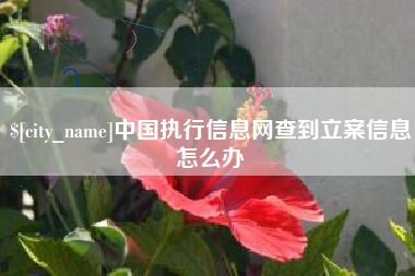 仁怀中国执行信息网查到立案信息怎么办