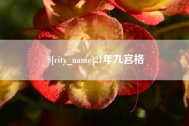 仁怀21年九宫格