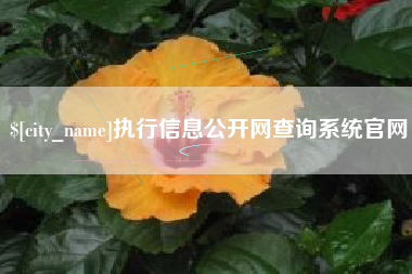 仁怀执行信息公开网查询系统官网