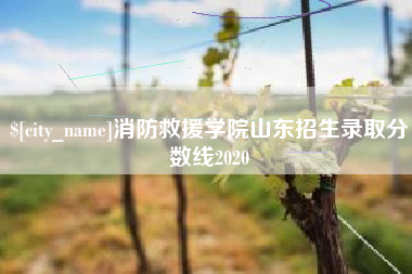 仁怀消防救援学院山东招生录取分数线2020