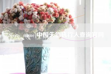 仁怀中国失信执行人查询官网