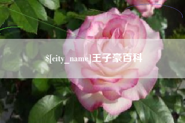 仁怀王子豪百科