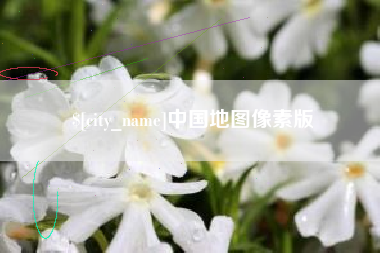 仁怀中国地图像素版