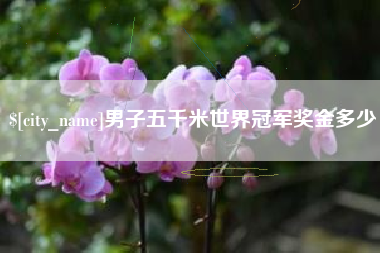 仁怀男子五千米世界冠军奖金多少