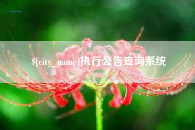 仁怀执行公告查询系统