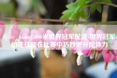 仁怀5000米世界冠军配速-世界冠军们往往能在比赛中巧妙地分配体力