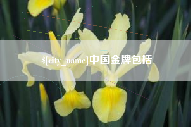 仁怀中国金牌包括