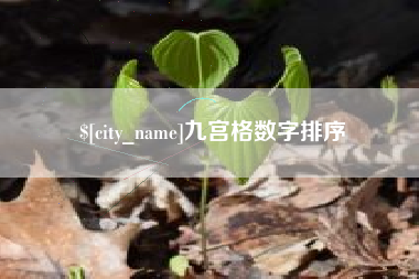 仁怀九宫格数字排序