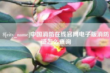 仁怀中国消防在线官网电子版消防证怎么查询