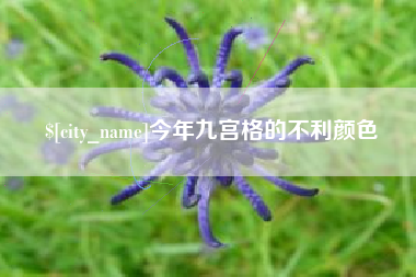 仁怀今年九宫格的不利颜色