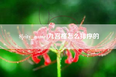 仁怀九宫格怎么排序的