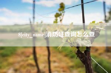 仁怀消防证查询怎么查