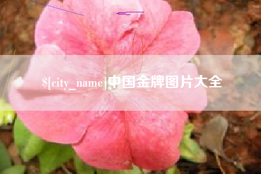 仁怀中国金牌图片大全