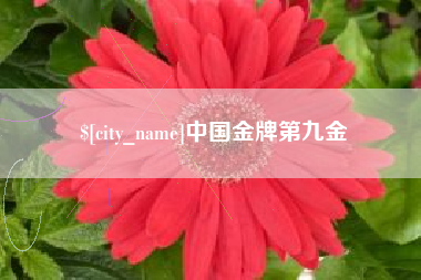 仁怀中国金牌第九金