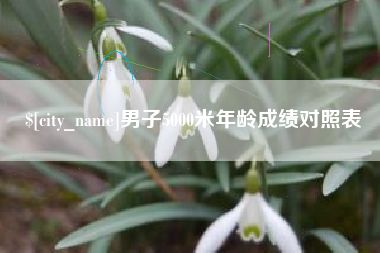 仁怀男子5000米年龄成绩对照表