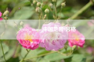仁怀中国地图9宫格