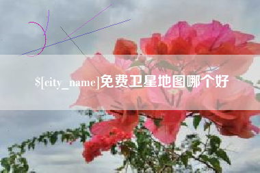 仁怀免费卫星地图哪个好